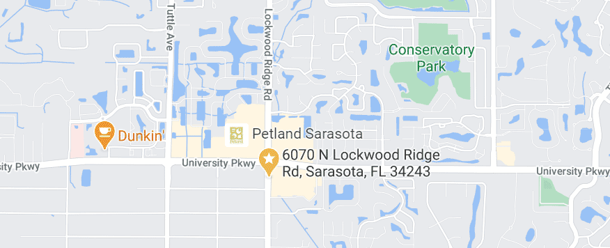 google map salon location